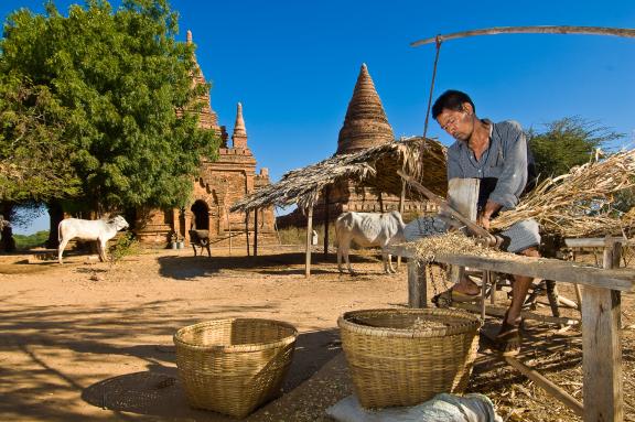 Découverte de l'activité villageoise sur le site de Bagan en Birmanie Centrale
