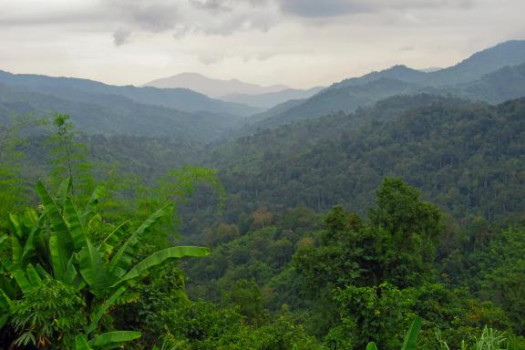 Trek à travers la jungle au sud du pays karen entre Letongku et Sangklaburi