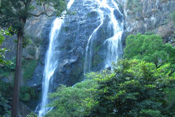 Randonnée vers des chutes d'eau dans la jungle au sud de Letongku