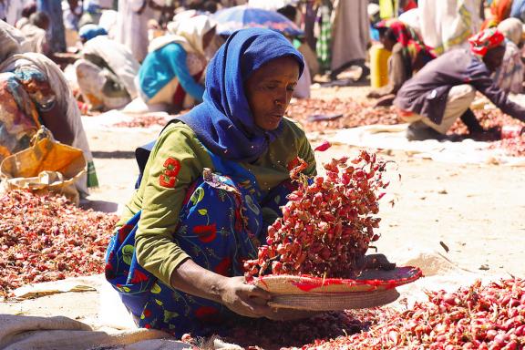 Balade dans un marché de l'Hawzen dans le Tigray