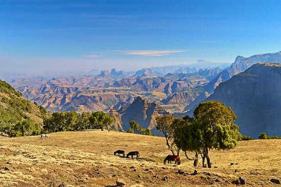 Trek dans le paysage du Massif du balé dans le Sud-est éthiopien