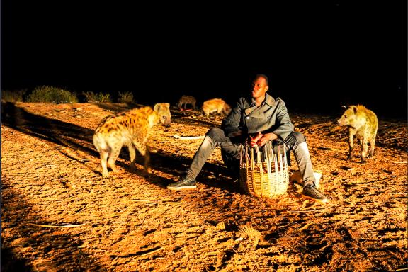 Découverte du repas des hyènes à Harar