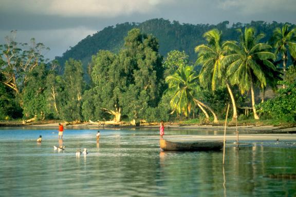 Exploration des forêts primaires bordant les plages de l'Océan inden