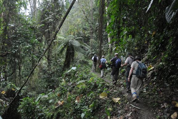 Trek en forêt vers un village du peuple adi en Arunachal Pradesh