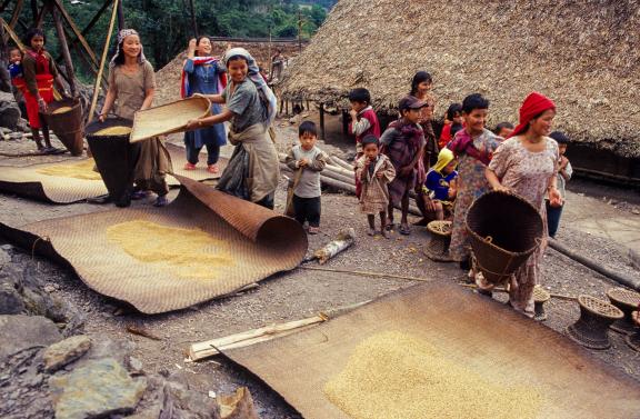 Découverte des activités dans un village adi de l'Arunachal Pradesh