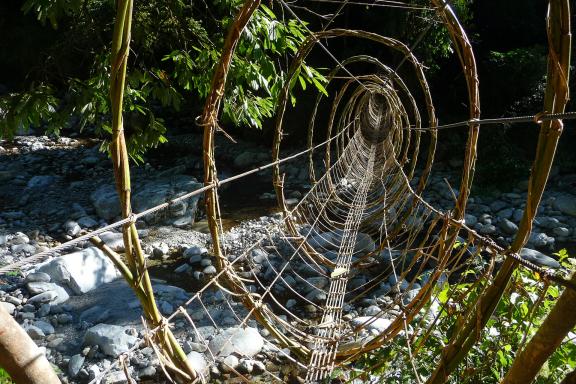 Trek vers une petite passerelle en forêt en Arunachal Pradesh