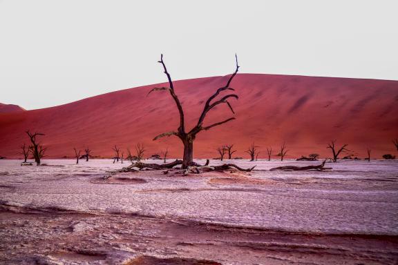 Balade dans les paysages de Sossusvlei dans le Namib