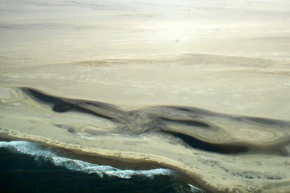 Exploration des dunes sur les côtes de l'Océan Atlantique  en Namibie