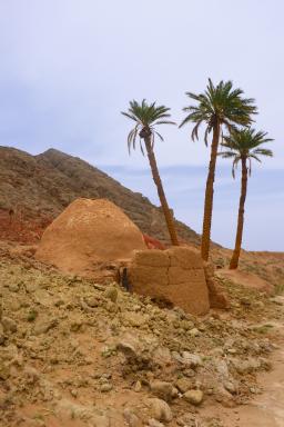 Randonnée dans le désert du sud