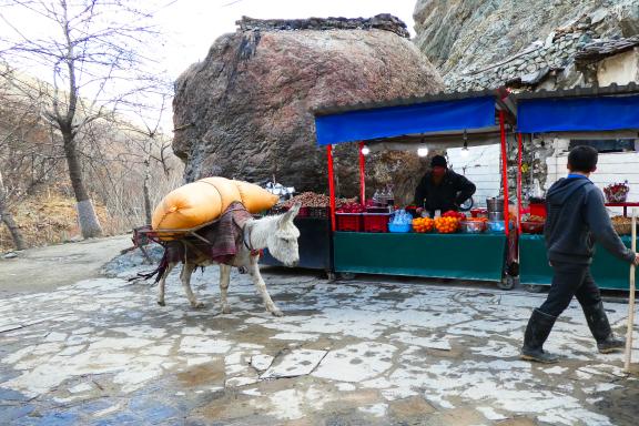 Marche dans les montagnes de Téhéran au Parc Saadabad