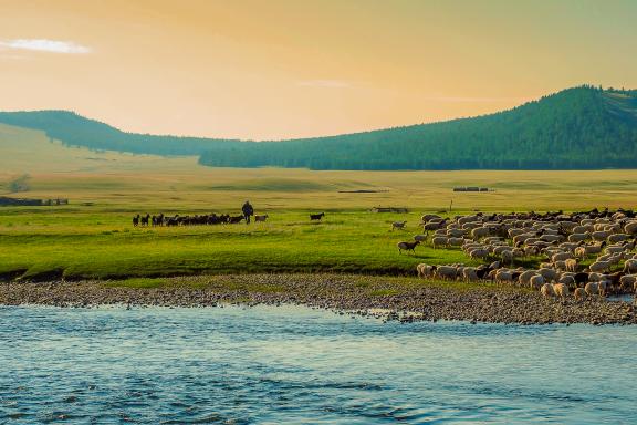 Voyage d'avanture avec les nomades du Nord de la Mongolie