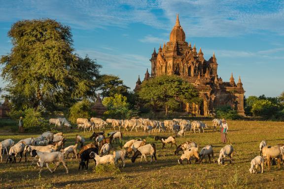 Immersion dans la vie autour des temples de Bagan en Birmanie Centrale