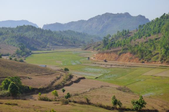 Randonnée dans les collins cultivées de l'État Shan entre Kalaw et le lac Inlé