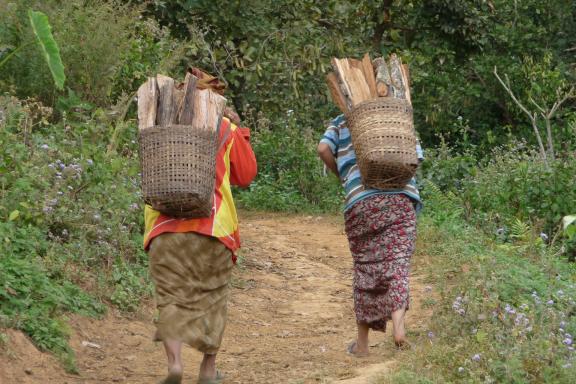 Randonnée avec des femmes ramenant du bois à la maison dans les montagnes de l'État Shan