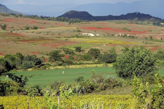 Voyage à travers les terres cultivées du plateau Shan dans la région de Heho