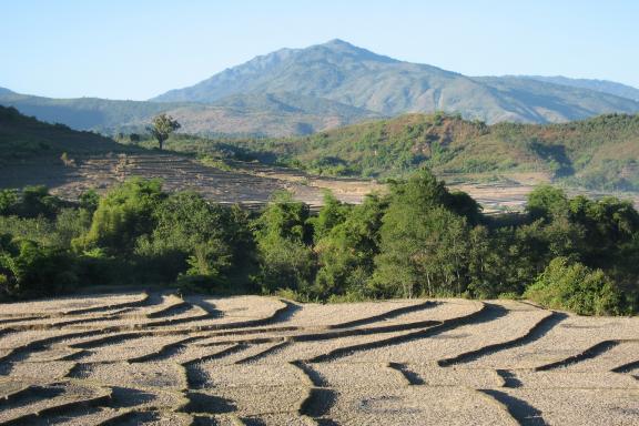 Trek à travers les rizières du plateau shan vers le lac Inlé