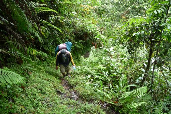 Trek à travers le pays ifugao dans les montagnes de la Cordillera