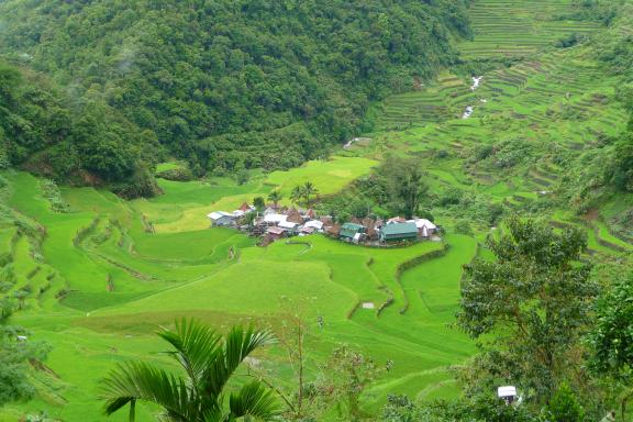 Voyage vers un village montagnard en pays ifugao dans la Cordillera