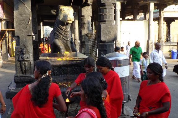 Randonnée vers des fidèles devant une statue de Nandi dans un temple du Tamil Nadu