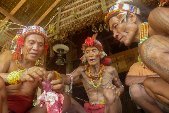 Trek vers la lecture chamanique des entrailles d'un cochon sur l'île de Siberut