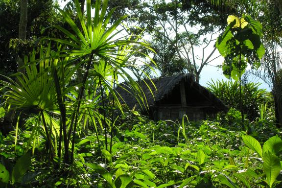Village en Amazonie en Équateur