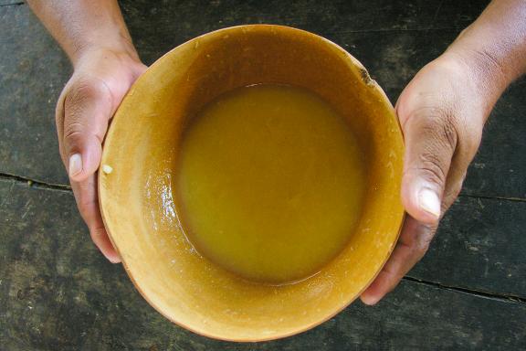 La chicha, boisson de manioc fermenté en Amazonie en Équateur