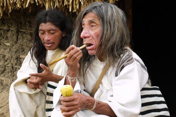 Kogi avec son poporo en Colombie