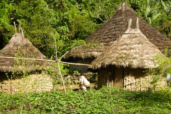 Village Kogi en Colombie