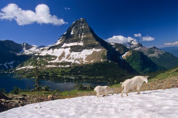 Randonnée dans le Glacier National Park aux États-Unis