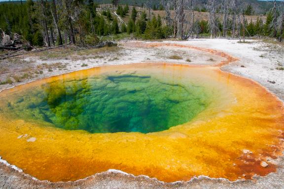 Trekking à la découverte de Moninr Glory Pool à Yellowstone aux États-Unis