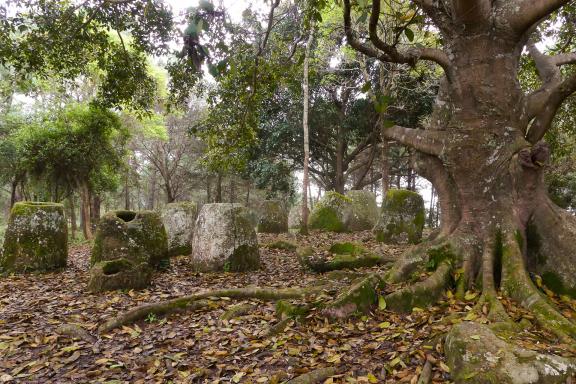 Trek à travers la Plaine des Jarres dans la région de Xieng Khouang