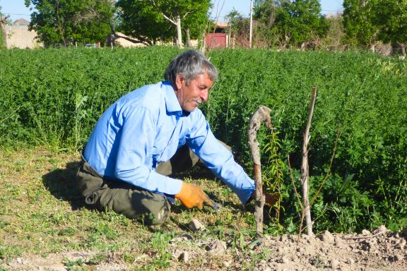 Rencontre un paysan dans une oasis au sud-est iranien