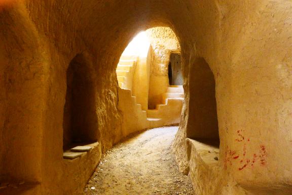 Marche dans la ruelle d'une osais dans le désert