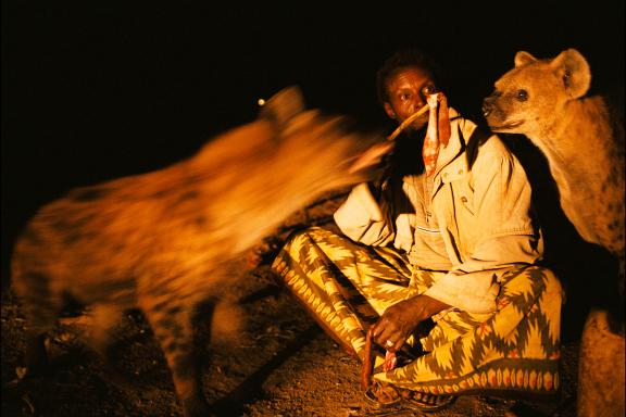 Découverte du repas des hyènes à Harar