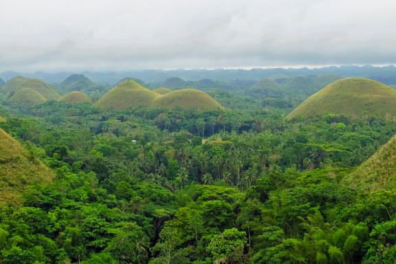 Randonnée vers les Chocolate Hills sur l'île de Bohol