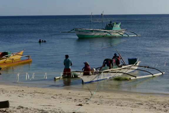 Randonnée vers des pêcheurs en pirogues à balancier dans l'archipel des Visayas
