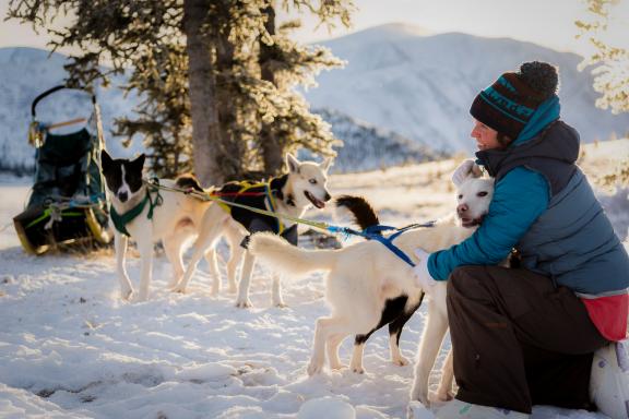 Voyage et ambiance de traineau à chien au Yukon