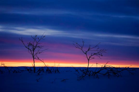 Voyages et Lueurs du soir sur le plateau du Finnmark