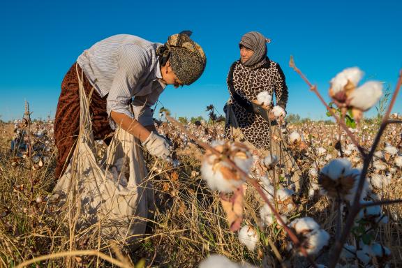 Voyage et rencontres avec les femmes ramassant le coton dans le Khorezm