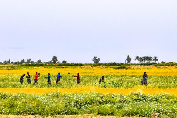 Contemplation d'une scène rurale dans la Province de Hamadan