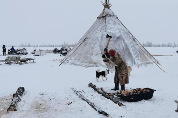 Voyage découverte avec les Nénètses de Sibérie