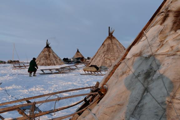 Trekking chez les Nénètses de la péninsule de Yamal