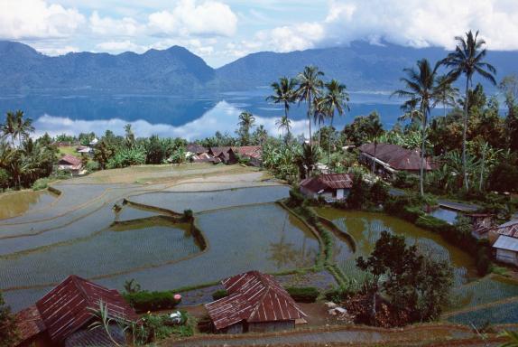 Trek vers un village batak sur une île du lac Toba au nord de Sumatra