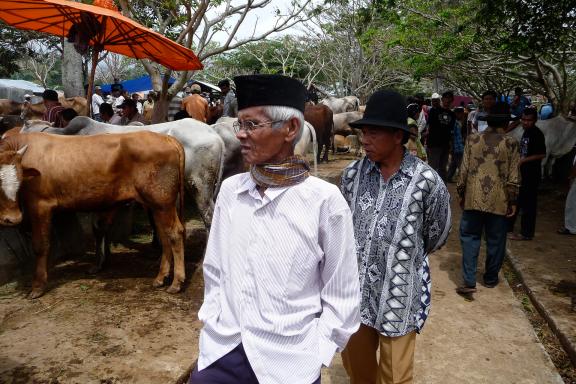 Trekking vers un marché aux bestiaux en pays minang dans la région de Bukittinggi