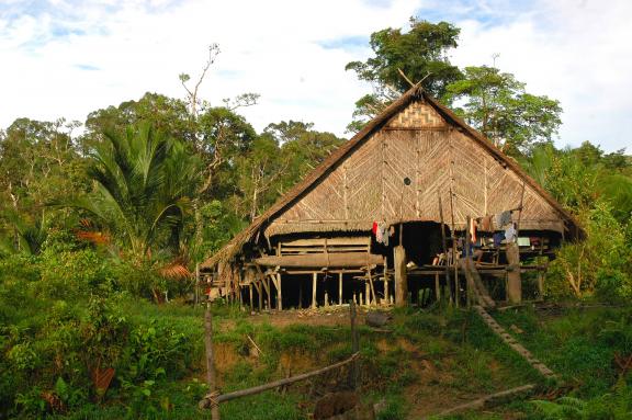 Trek vers la maison d'un chaman mentawaï sur l'île de Siberut