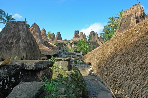 Randonnée vers un village traditionnel sumbanais sur l'île de Sumba