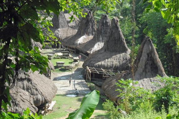 Trekking vers un village sur l'île de Sumba dans les petites îles de la Sonde