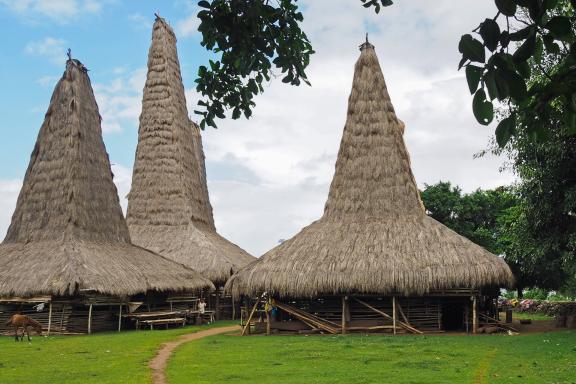 Découverte des maisons hautes sumbanaises dans les petites îles de la Sonde