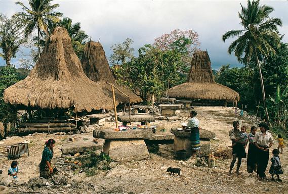 Immersion dans la vie d'un village sumbanais sur l'île de Sumba