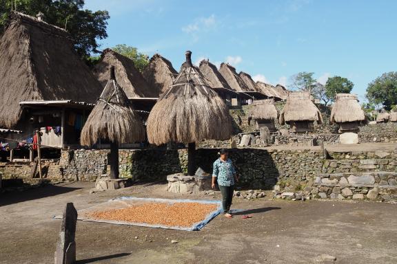 Randonnée vers un village du peuple ngadha sur l'île de Flores
